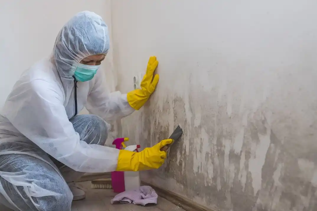 water damage restoration service Telfair